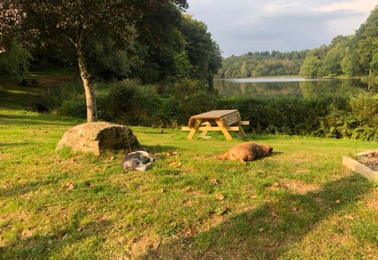 La Forge B&B Perret  ภายนอก รูปภาพ